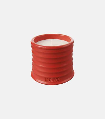 Candela profumata Tomato Leaves piccola - Loewe Home Scents - Modalova