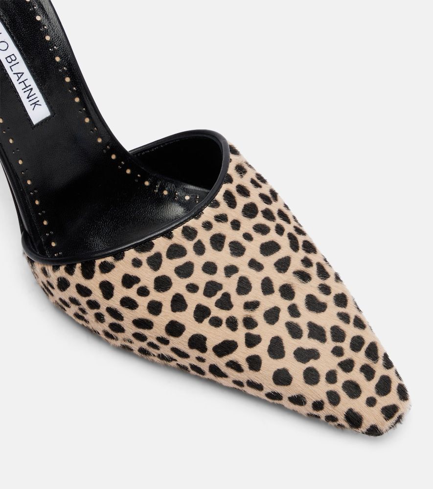Bedruckte Pumps Gambis aus Kalbshaar - Manolo Blahnik - Modalova