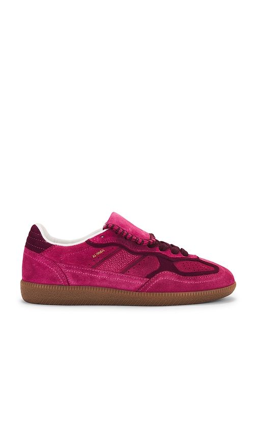 Tb.490 Sneakers in Fuchsia. - size 36 (also in 37, 40, 41) - ALOHAS - Modalova