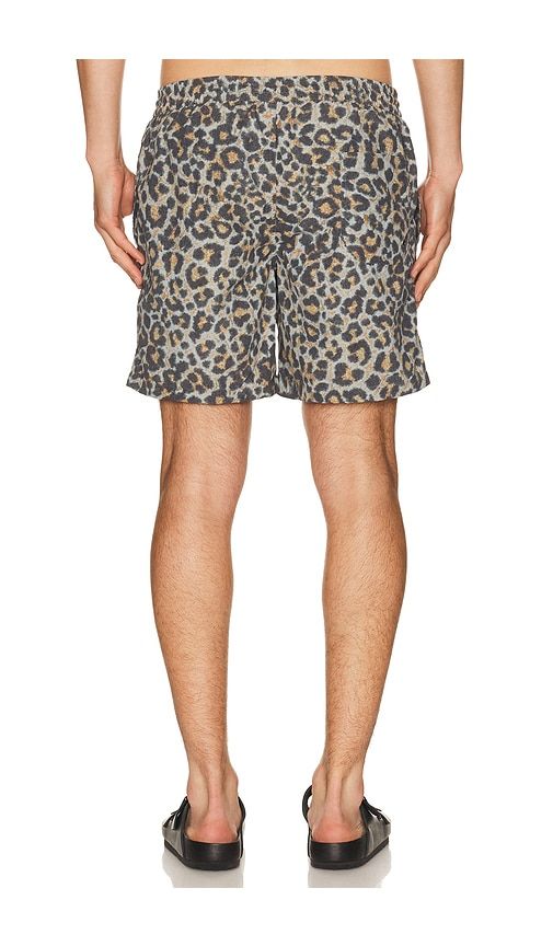 Silesia Swimshort in Grey. - size L (also in M, S, XL/1X) - ALLSAINTS - Modalova
