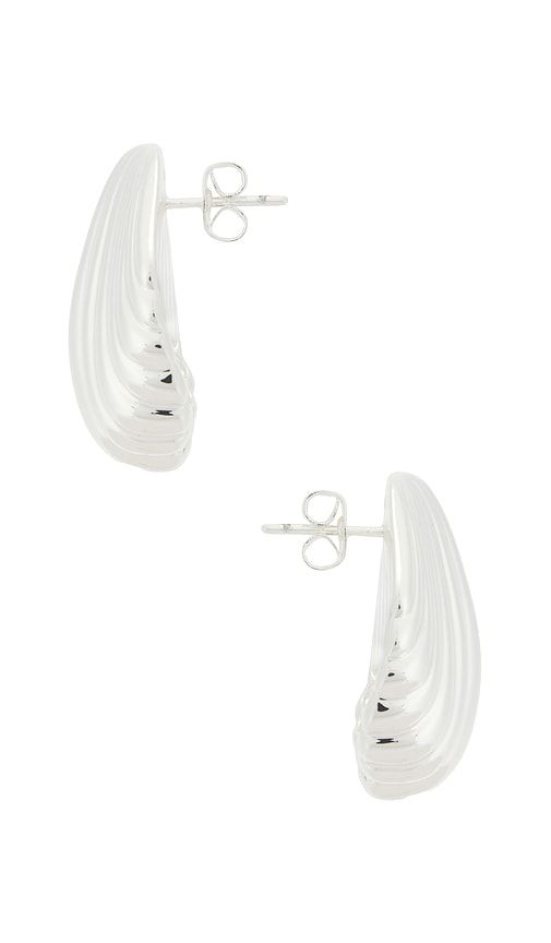Shell Earring in Metallic - ANNI LU - Modalova