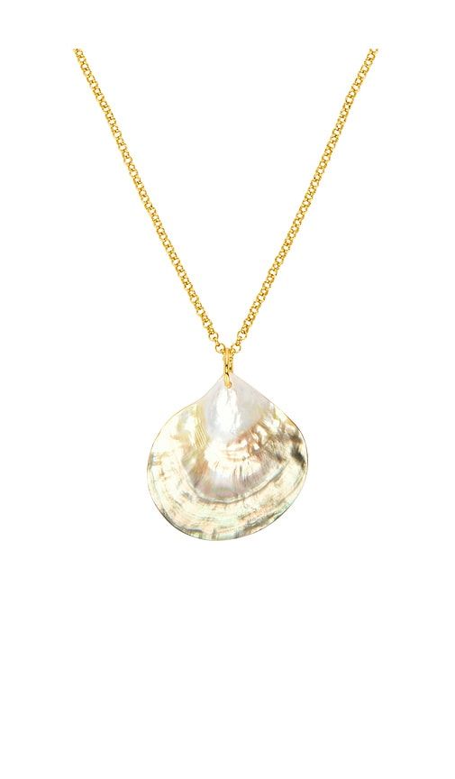 Golden Shell Necklace in Metallic - ANNI LU - Modalova