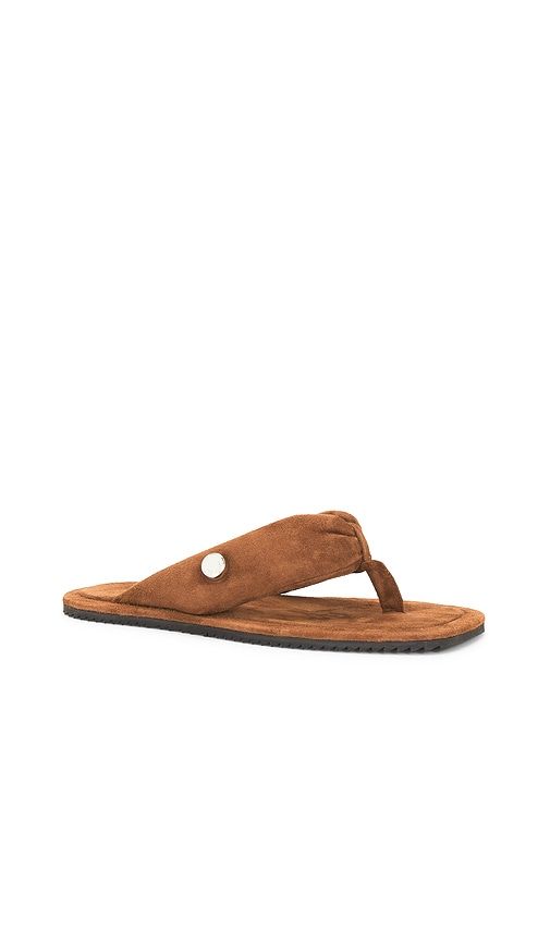 Indie Flat Thong Sandal in Brown. - size 36 (also in 36.5) - THE ATTICO - Modalova