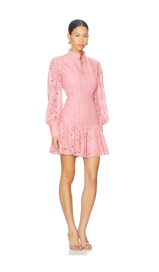 Remy Lace Dress in Pink. - size 2 (also in 4, 6, 8) - Bardot - Modalova