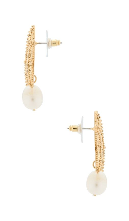 Mariam Shell Earrings in Metallic - BaubleBar - Modalova