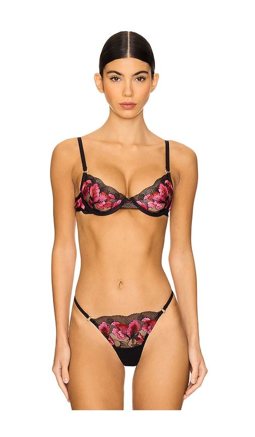 Vivienne Bra in ,Pink. - size 32C (also in 32D, 34B, 34C, 34D, 36B, 36D) - BLUEBELLA - Modalova