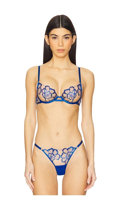 Catalina Wired Bra in Blue. - size 32B (also in 32D, 34B, 34C, 34D, 36C, 36D) - BLUEBELLA - Modalova