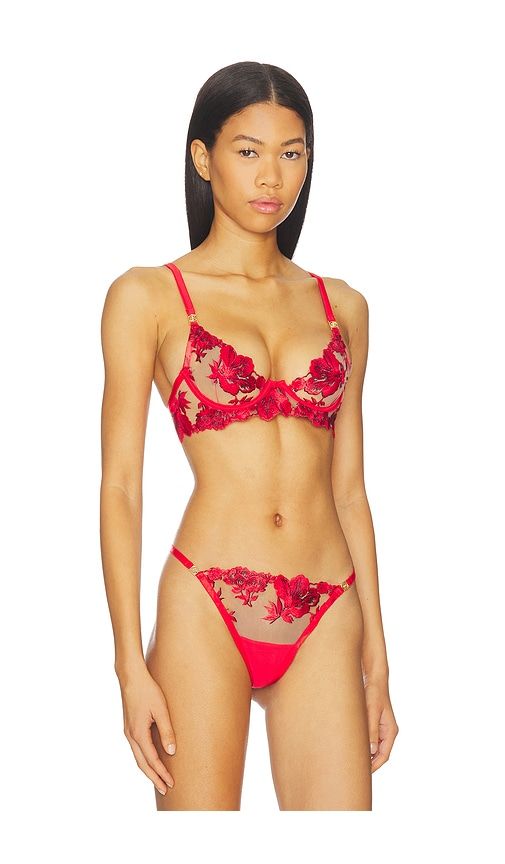 Lavanya Wired Bra in Red. - size 34B (also in 34C, 36D) - BLUEBELLA - Modalova