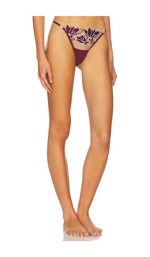 Geneva Thong in Red. - size S (also in XL, XXS) - BLUEBELLA - Modalova