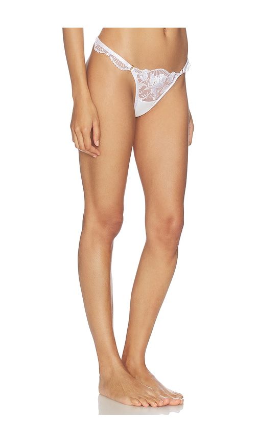 Gabriella Thong in . - size 2XL (also in XL, XXS) - BLUEBELLA - Modalova