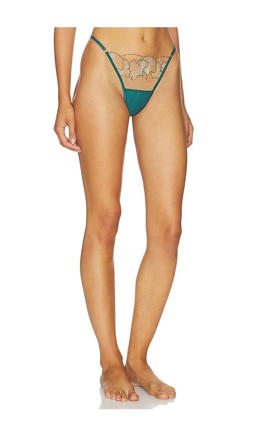 Gianna Thong in Green. - size XL (also in XS, XXL, XXS) - BLUEBELLA - Modalova