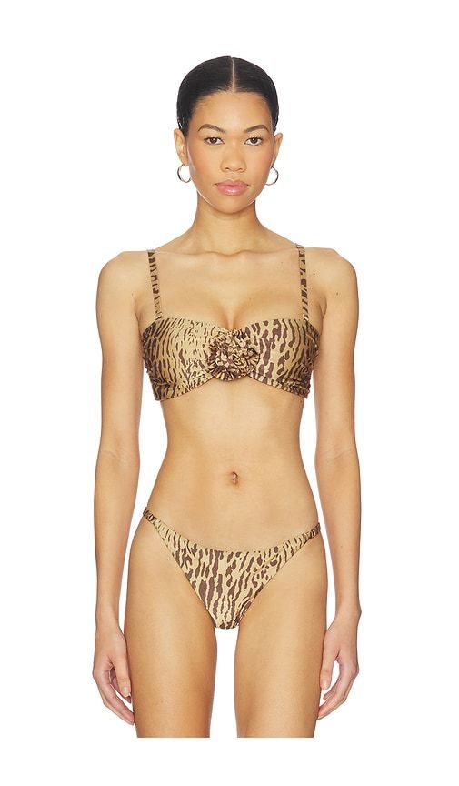 Makis Bikini Top in Brown. - size L (also in M, S, XS) - BOAMAR - Modalova