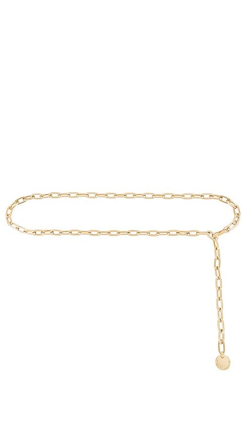 Cora Chain Belt in Metallic - B-Low the Belt - Modalova