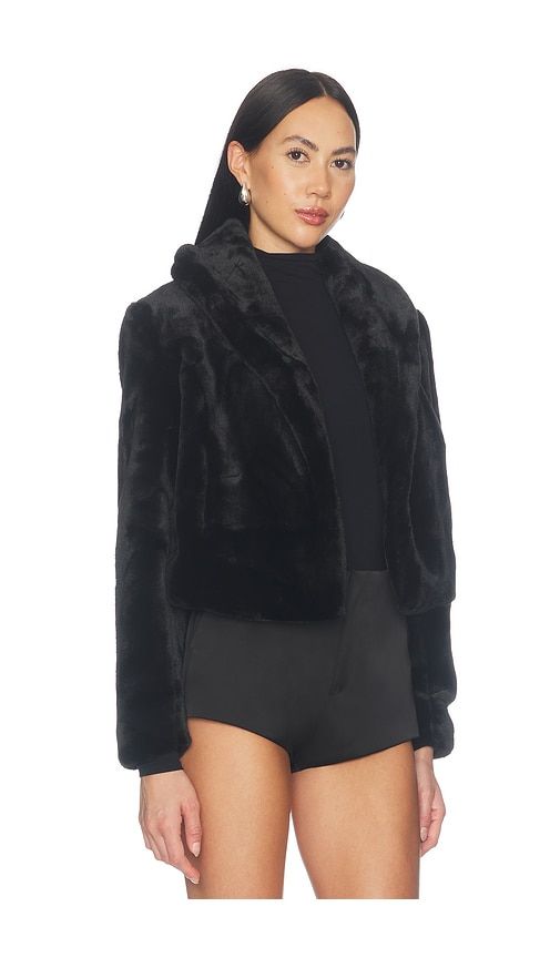 Faux Fur Jacket in Black. - size L (also in M, S, XS) - BLANKNYC - Modalova