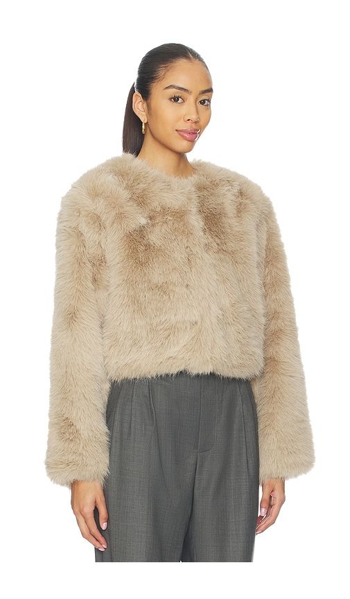 Crop Faux Fur Coat in Beige. - size L (also in M) - BLANKNYC - Modalova