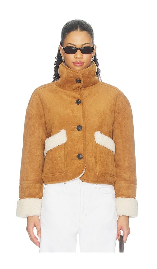 Faux Suede Jacket in Brown. - size L (also in M, S, XS) - BLANKNYC - Modalova