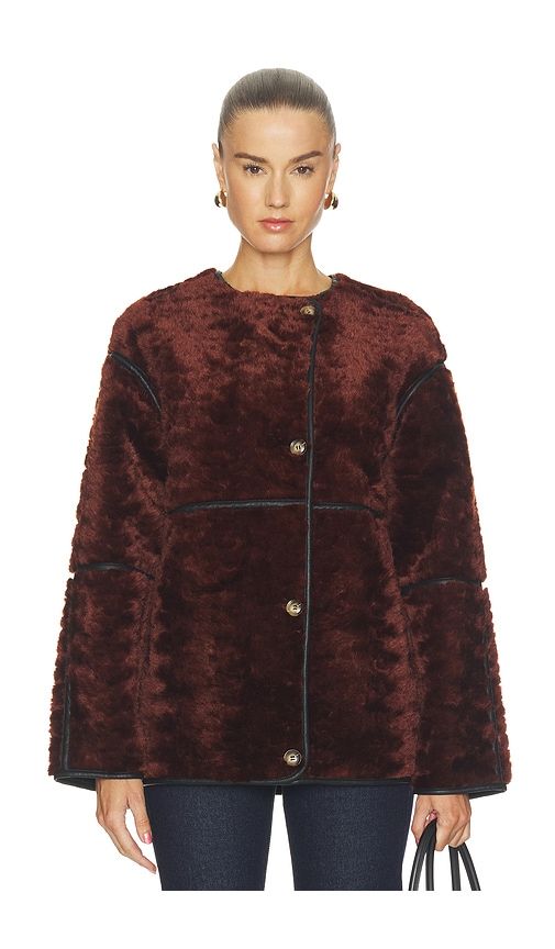 Faux Fur Jacket in Brown. - size XS (also in S, M, L) - BLANKNYC - Modalova