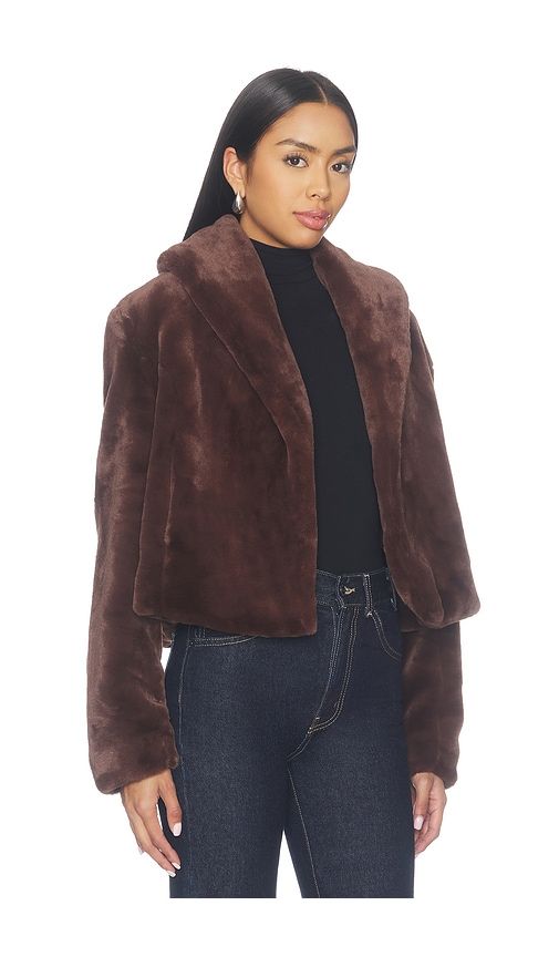 Faux Fur Teddy Coat in Brown. - size L (also in M, S, XS) - BLANKNYC - Modalova