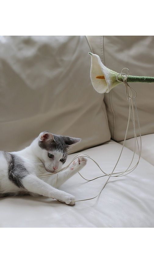 Flora Cat Wand Toy in - Catenary Home - Modalova
