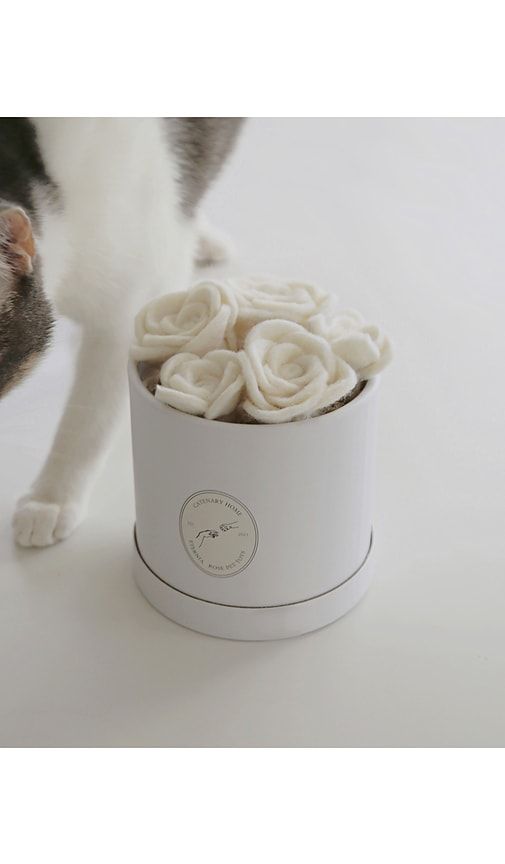 Flora Eterna Pet Toy Box in - Catenary Home - Modalova