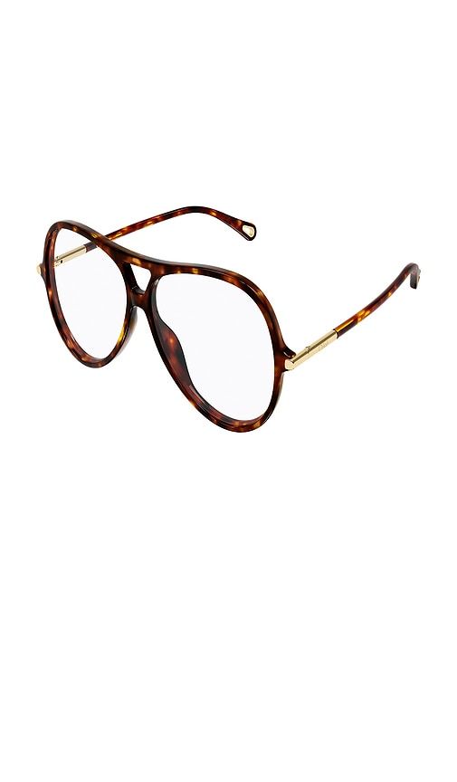 Chloe Round Sunglasses in Cognac - Chloe - Modalova