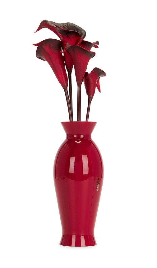 Cult Gaia CLUTCH FLORENCE in Red - Cult Gaia - Modalova