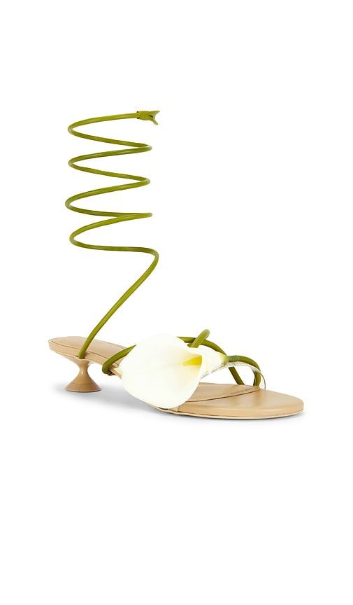 Claire Sandal in Green,White. - size 36 (also in 37.5) - Cult Gaia - Modalova