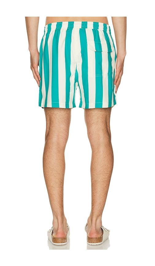 Travel Swim Shorts in Cream,Green. - size L (also in M, S, XL/1X) - Duvin Design - Modalova