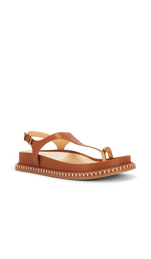 Steffan Sandal in Brown in Cognac. - size 6.5 (also in 7, 7.5, 8, 8.5, 9) - Dolce Vita - Modalova