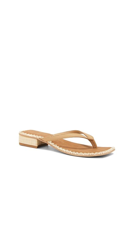 Barty Sandal in Brown. - size 6.5 (also in 8, 8.5) - Dolce Vita - Modalova