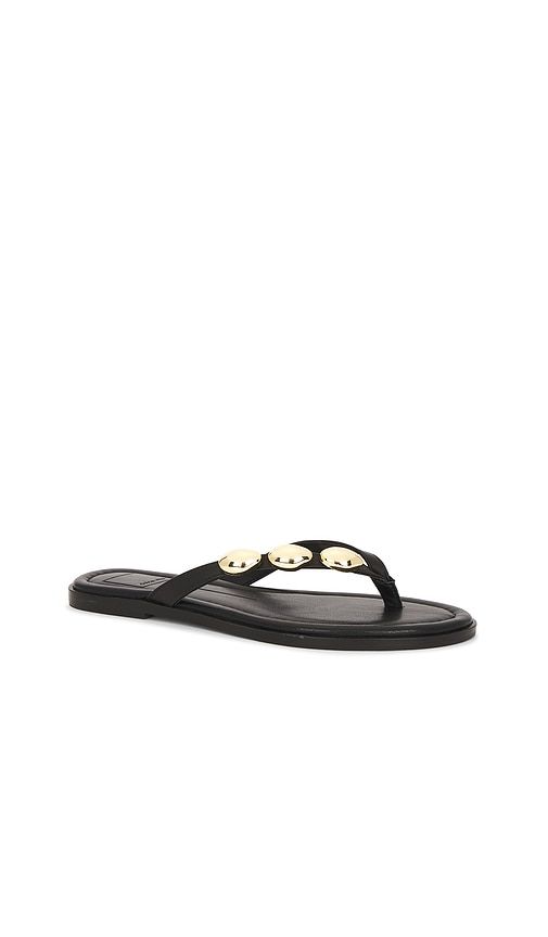 Juny Sandal in . - size 6 (also in 6.5, 7, 7.5, 8, 8.5) - Dolce Vita - Modalova