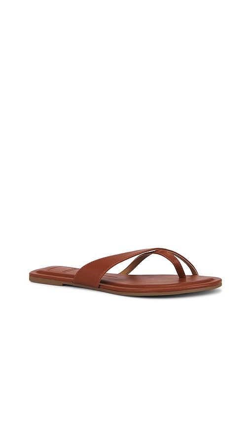 Lenex Thong Sandal in Brown. - size 10 (also in 6, 6.5, 7, 7.5, 8, 8.5, 9, 9.5) - Dolce Vita - Modalova