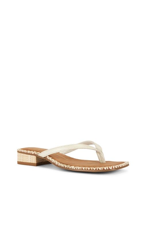 Barty Thong Sandal in . - size 7.5 (also in 8.5, 9.5) - Dolce Vita - Modalova