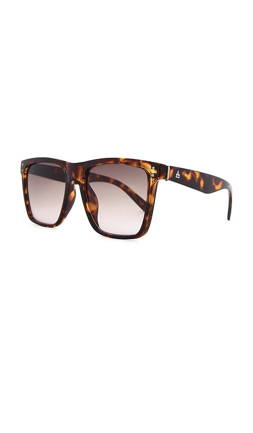 AIRE Kraz Sunglasses in Brown - AIRE - Modalova