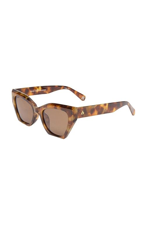 AIRE Persei Sunglasses in Brown - AIRE - Modalova