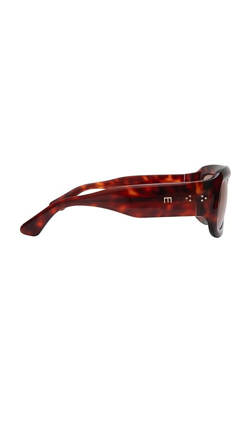Aries Sunglasses in Brown - Elisa Johnson - Modalova