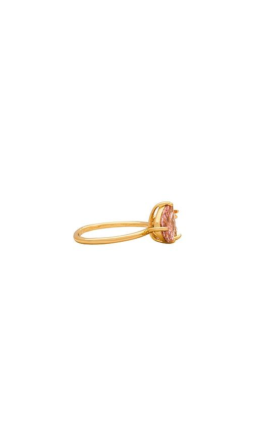 Jewel Ring in . - size 6 (also in 7, 8) - Ettika - Modalova