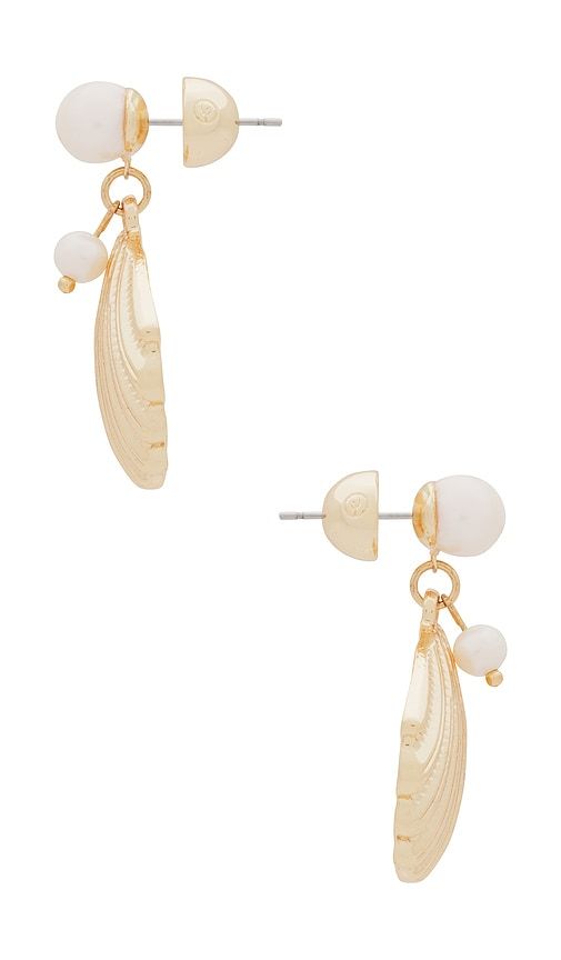 Shell Earring in Metallic - Ettika - Modalova