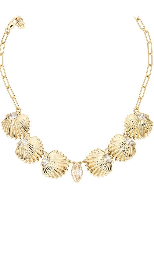Scallop Shell Choker in Metallic - Ettika - Modalova