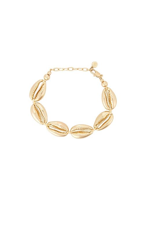 Seven Seas Shell 18k Pated Shell Bracelet in Metallic - Ettika - Modalova