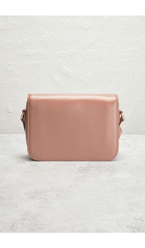 Celine Classique Triomphe Shoulder Bag in - FWRD Renew - Modalova