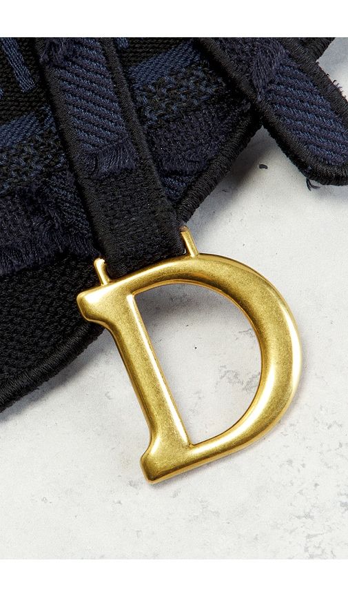 Dior Embroidered Saddle Belt Bag in - FWRD Renew - Modalova