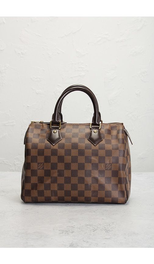 Louis Vuitton Damier Ebene Speedy 25 Handbag in - FWRD Renew - Modalova