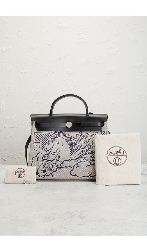 Hermes Toile & Leather Pegase Pop Herbag Zip 31 Handbag in - FWRD Renew - Modalova
