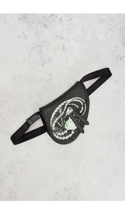 Dior X Cactus Jack Mini Saddle Bag in - FWRD Renew - Modalova