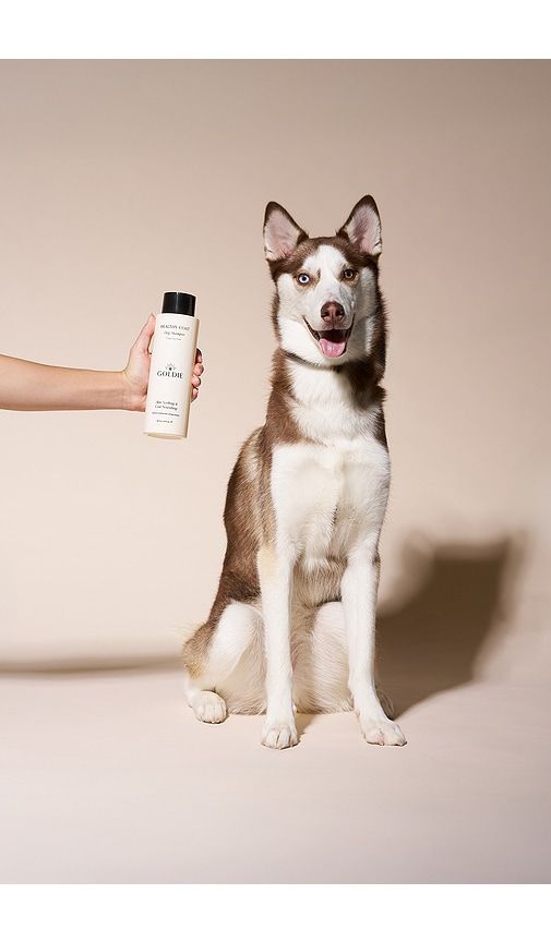 Healthy Coat Shampoo in Ivory - Goldie Dog Essentials - Modalova