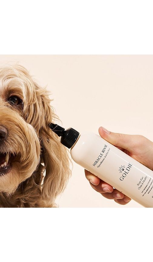 Miracle Rinse in Ivory - Goldie Dog Essentials - Modalova