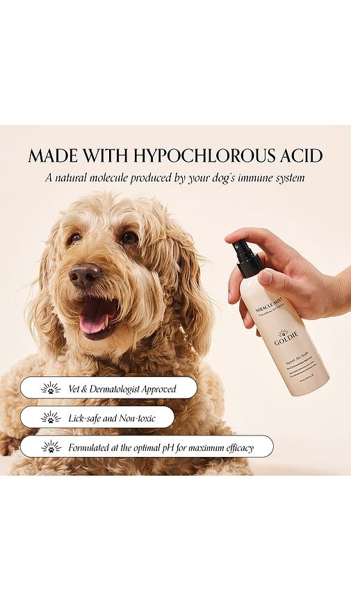 Miracle Mist in Ivory - Goldie Dog Essentials - Modalova