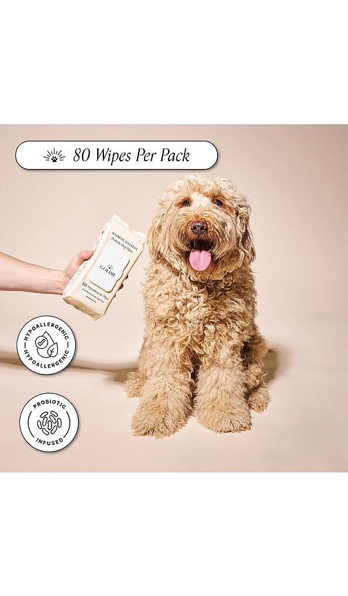 So Fresh, So Clean Probiotic Wipes in - Goldie Dog Essentials - Modalova
