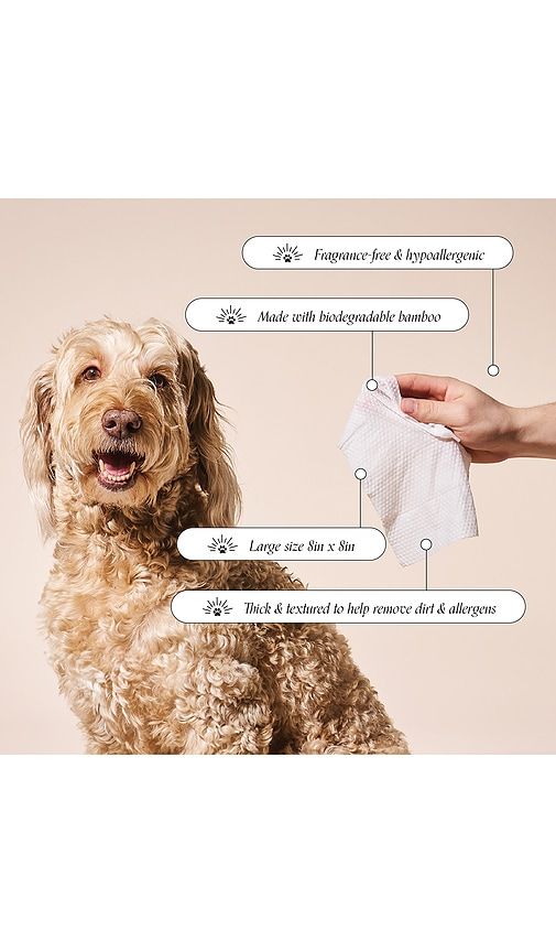So Fresh, So Clean Probiotic Wipes in - Goldie Dog Essentials - Modalova